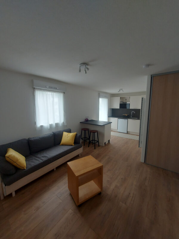 T1 entièrement rénové quartier les Minimes – Image 2