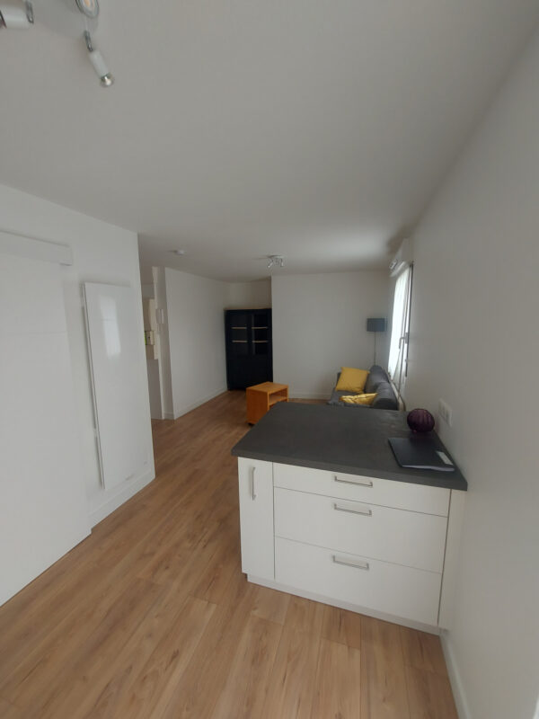 T1 entièrement rénové quartier les Minimes – Image 5