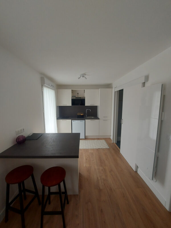 T1 entièrement rénové quartier les Minimes – Image 4