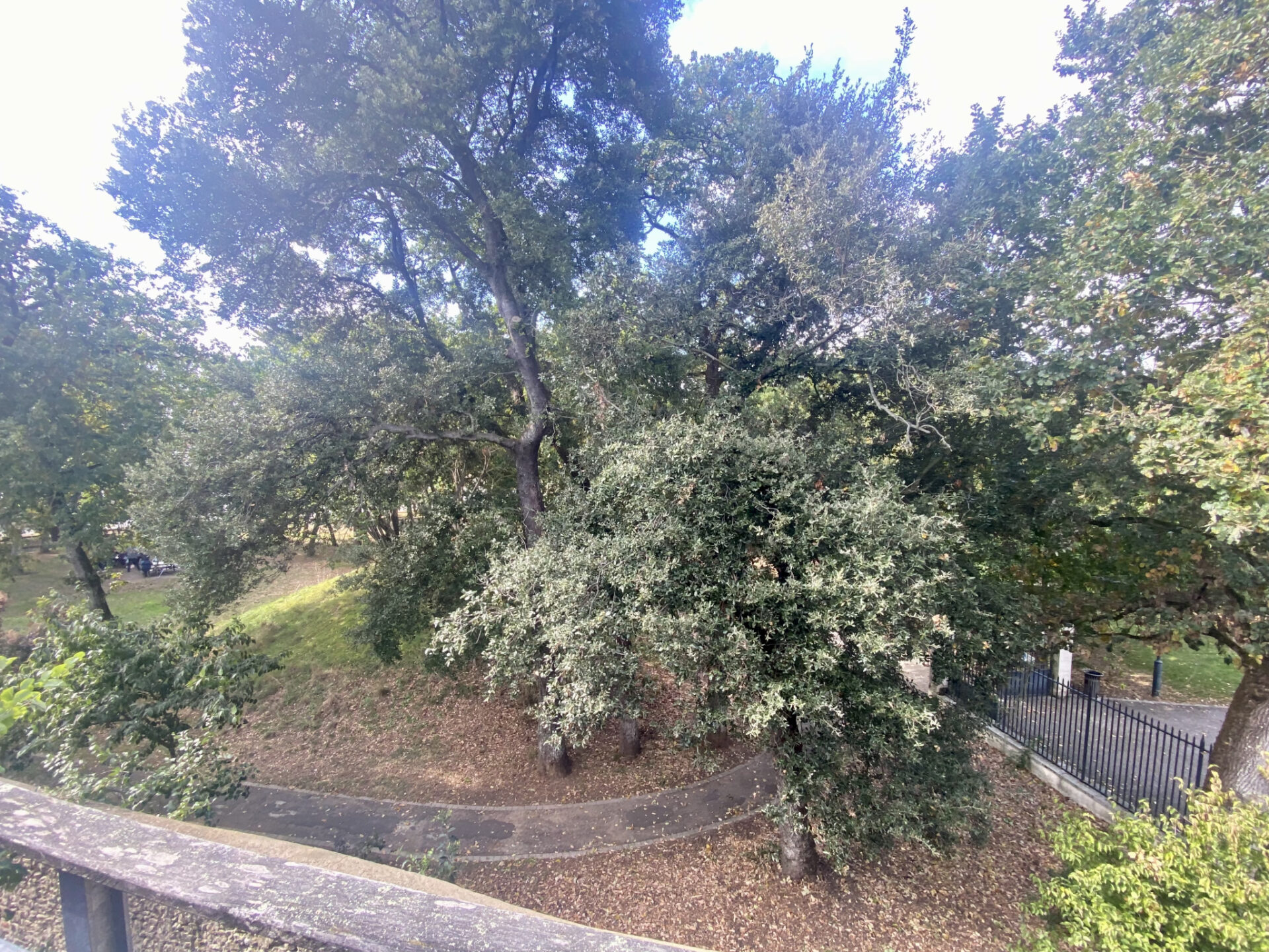 TYPE 3 EN DUPLEX AVEC TERRASSE ET STATIONNEMENTS – Image 5