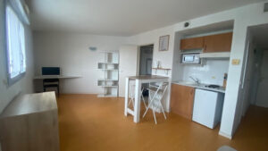 A VENDRE STUDIO LES MINIMES LAC DE LA SOLE